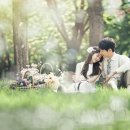 메이스튜디오 - 장흥군 동교2길 6 | 메이스튜디오