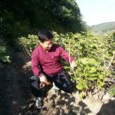 구미농장 이미지