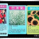둘리제과