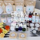 가딘베르크아로마크래프트랩 | 거제아로마테라피교육센터 반려동물을 위한 반려동물 아로마클래스 반려동물아로마강사자격증반
