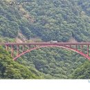 마메드론