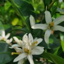 윤서농장 이미지