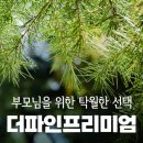종합환경파인 | 더파인프리미엄후기 신애라광고 외에 만족도가 높은 제품