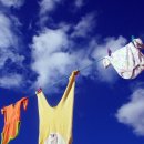 어의정로 이미지