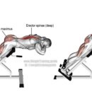 힙짐(HIP GYM) 이미지