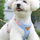 카멜리아모텔 이미지