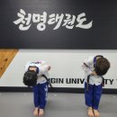 천명태권도 이미지