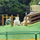 윗말어린이공원 이미지