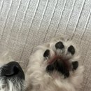 안진회계법인 이미지