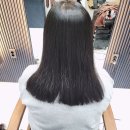 곱슬 즘말ㅡㅡ 이미지