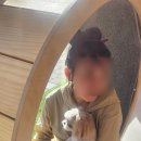 퍼피짱 대도점 이미지