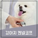 이든코프 이미지