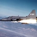 F-20 타이거샤크 이미지