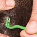 일산동물약국 이미지