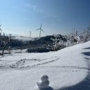 설산 | 🏔️강원도 평창 선자령 설산 트래킹 등산 너무 좋아요!!!! (설산 추천 후기!!)🏔️