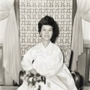 박정희로-8 이미지