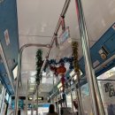 제일건재도매한약 | Day2. 누구도 나의 다구 지름을 막을 수 없으셈