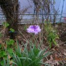 (주)수레 이미지