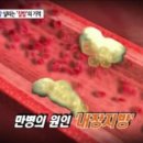 뱃살 빼는데 좋은 9가지 과일 이미지