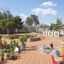 이안주유소 이미지