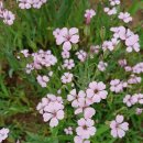 세중아유치원 이미지