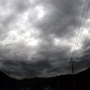 방림약국 티스토리