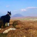 선한 동기 이미지