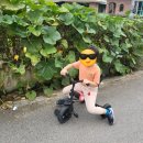 소여농장 이미지