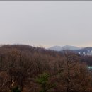 대곶초교 이미지