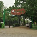 김중현 농장 Daum카페