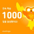 강구PC방 | 0512-0518