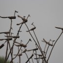 함양박씨영추재 이미지