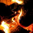 순이랑한잔 이미지