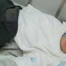 청학의원 이미지