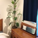 비하인드 제주홈 이미지