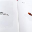 소소한 일상 드로잉 이미지