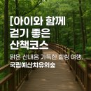 초례산 숲속 힐링로드 | 아이와 함께 걷기 좋은 산책코스, 맑은 산내음 가득한 힐링 여행, 국립예산치유의숲
