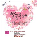 우리동네 불광천 벚꽃축제에 구경오세요. 이미지