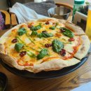 로카와 델피노1 이미지