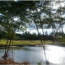 PGCC골프아카데미 이미지