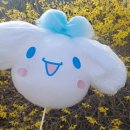 (주)이천이마트안경원 | 봄날의 꽃구경은 못 참지(feat.이천 산수유 축제)