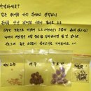 씨앗 | 미인 고추 씨앗 나눔 후기 | 단호박, 여주, 아욱까지 보내주신 따뜻한 텃밭 인연