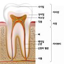 포유치과의원 이미지