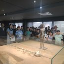 문의초등학교 이미지