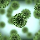 사랑나무의원 이미지