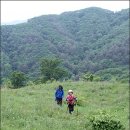 대관령마루길 이미지