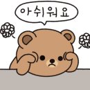 산적 통갈매기 세종점