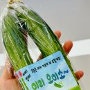 삼봉태권도 이미지