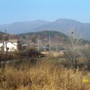 산지골민박 Daum카페