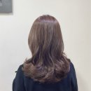 스파 앤 컷 이미지